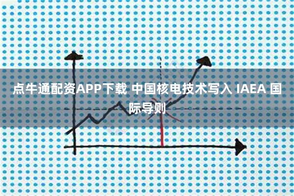 点牛通配资APP下载 中国核电技术写入 IAEA 国际导则