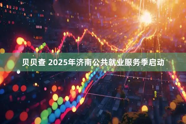 贝贝查 2025年济南公共就业服务季启动
